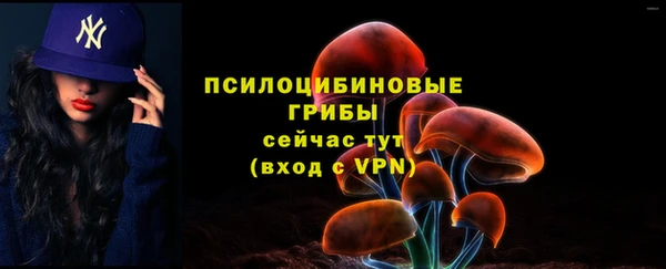 скорость Гусь-Хрустальный