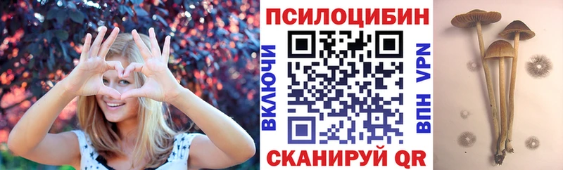 ОМГ ОМГ ссылка  цены наркотик  Таганрог  Галлюциногенные грибы GOLDEN TEACHER 